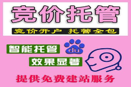 优化信息流广告：从策略到执行的完整案例分析